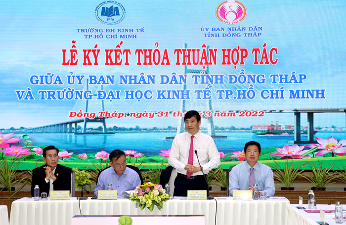 cá cược thể thao hul city